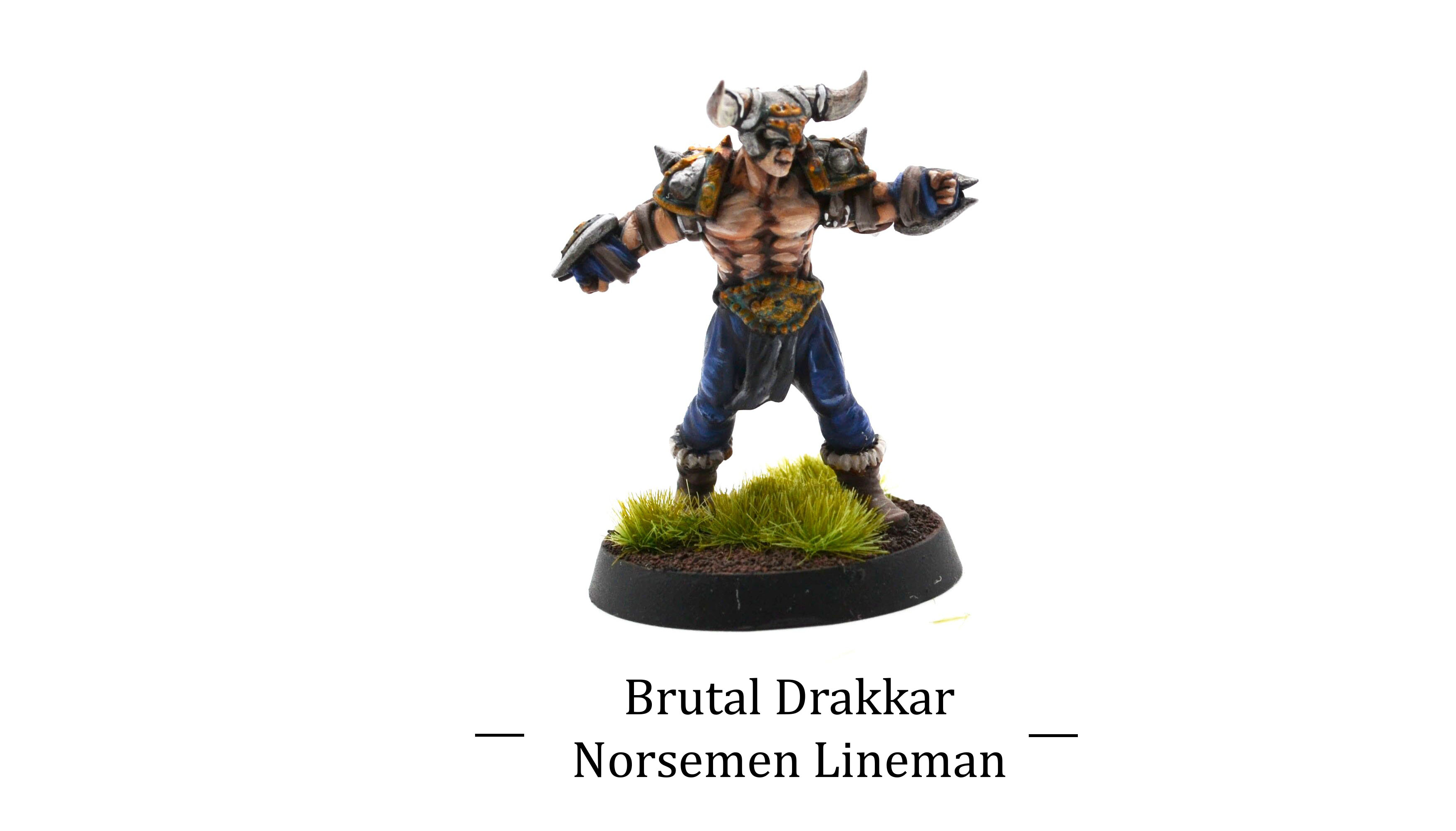 Realm of Paths Brutal Drakkar : Norsemen Linemen miniatures 3d print painted by commission painter.